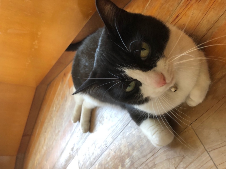 久しぶりに会った知り合いに、「最近眠そうな眼をしているね」と言われる事ありませんか？？ テレビを見ているときに、「おでこのシワが増えたね～」 　なんて言われていませんか？？眼瞼下垂の原因は①生まれつき　　②加齢(変性)によるもの　③その他に分けられ、②は徐々に進行するために自分自身では気づきにくいこともあります。　上まぶたが瞳孔（瞳の真ん中）にかかってくると、知らず知らずのうちに眠そうな眼をしていたり、反対に一生懸命眼を大きく開けようとして額に深いしわが刻み込まれていることも！